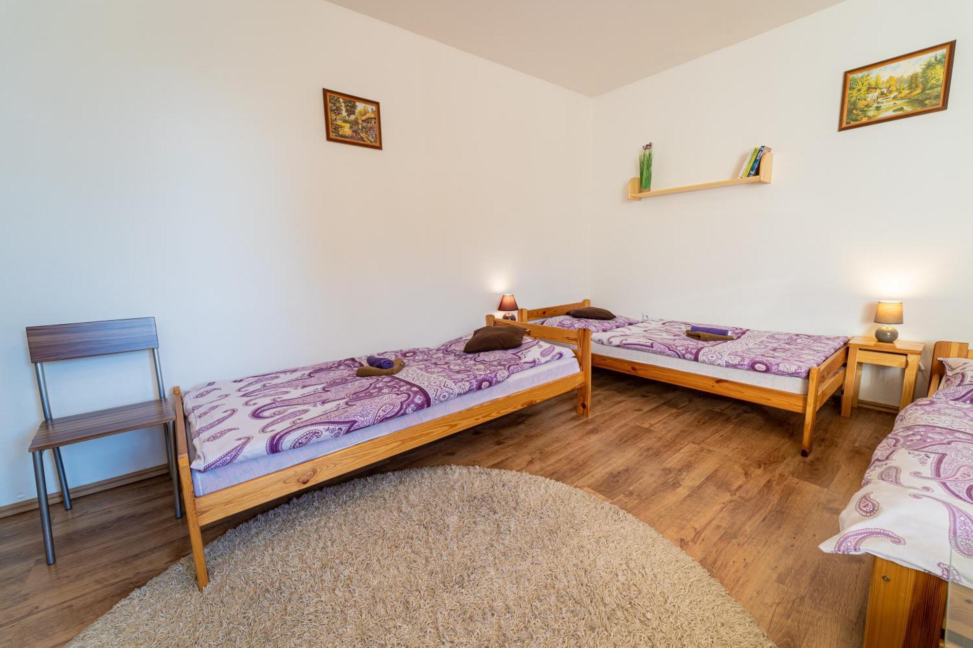 Penzion Alex Nová Lesná Exterior foto